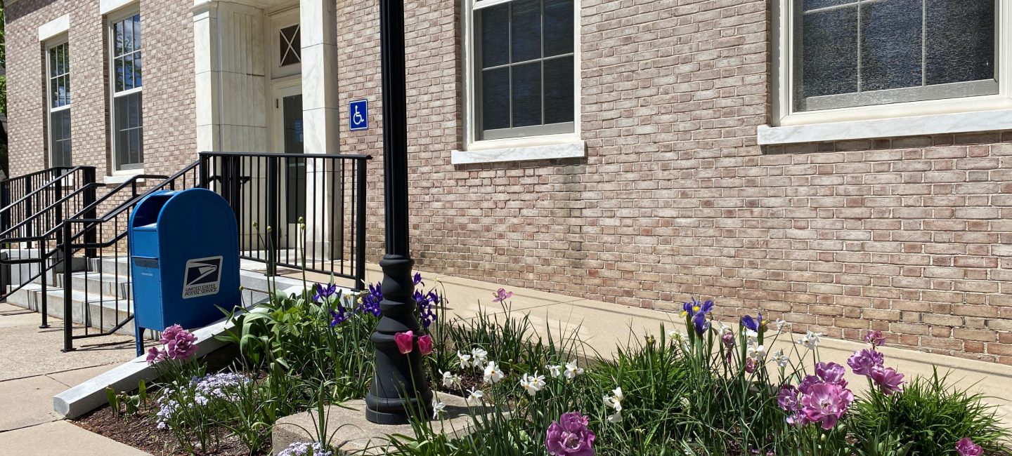 Gardening with Vilma Stonington Garden Club